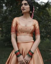 Exquisite Priya Prakash Varrier in an Ethnic Wear Photos 01