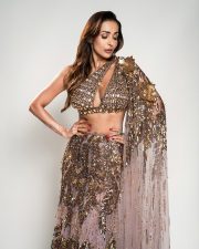 Fashion Icon Malaika Arora in a Greyish Pink Embroidered Lehenga Photos 01