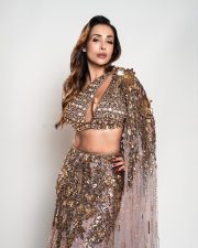Fashion Icon Malaika Arora in a Greyish Pink Embroidered Lehenga Photos 03