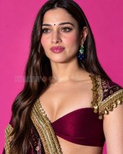 Fiery Actress Tamannaah Bhatia in a Wine Lehenga Crop Top With Gold Embroidery Photos 01