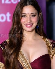 Fiery Actress Tamannaah Bhatia in a Wine Lehenga Crop Top With Gold Embroidery Photos 02