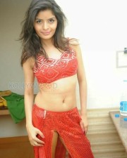 Gehana Vasisth Spicy Photos