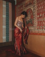 Glam Actress Disha Patani in a Bronze and Maroon Corset Blouse with a Maroon Kanchipuram Silk Saree Photos 06