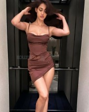 Glam Disha Patani Sexy in Brown Dress Photos 02