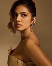 Glam Malavika Mohanan in a Golden Corset Top with a Black Slit Skirt Photos 01