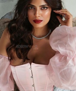 Glam Malavika Mohanan in a Pink Dress Photos 02
