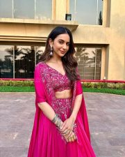 Glam Rakul Preet Singh in a Pink Lehenga Set Pictures 02 Glam Rakul Preet Singh in a Pink Lehenga Set Pictures 02