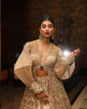 Glam and Glitzy Pooja Hegde Picture 01