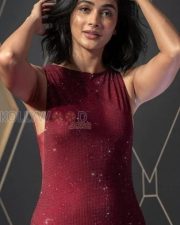 Glamorous Actress Pooja Hegde in a Maroon Sequined Bodycon Dress Photos 01