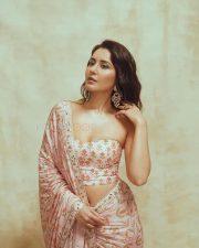Glamorous Raashi Khanna in a Light Pink Floral Saree with a Bandeau Tube Strapless Blouse Photos 01