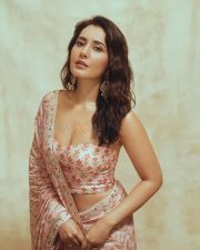 Glamorous Raashi Khanna in a Light Pink Floral Saree with a Bandeau Tube Strapless Blouse Photos 06