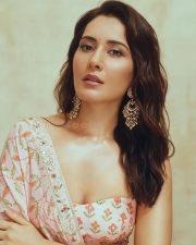 Glamorous Raashi Khanna in a Light Pink Floral Saree with a Bandeau Tube Strapless Blouse Photos 07 Glamorous Raashi Khanna in a Light Pink Floral Saree with a Bandeau Tube Strapless Blouse Photos 07