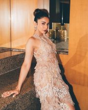 Glamorous Rakul Preet Singh in a Sheer Ivory Gown Photos 01