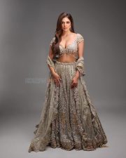 Glamorous and Gorgeous Malavika Mohanan in a Traditional Lehenga Photos 01 Glamorous and Gorgeous Malavika Mohanan in a Traditional Lehenga Photos 01