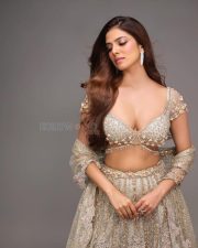 Glamorous and Gorgeous Malavika Mohanan in a Traditional Lehenga Photos 07 Glamorous and Gorgeous Malavika Mohanan in a Traditional Lehenga Photos 07