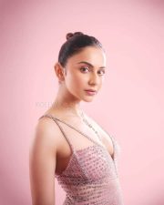 Glamour Girl Rakul Preet in a Pink Gown Photos 01 Glamour Girl Rakul Preet in a Pink Gown Photos 01