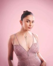 Glamour Girl Rakul Preet in a Pink Gown Photos 02 Glamour Girl Rakul Preet in a Pink Gown Photos 02