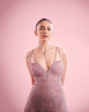 Glamour Girl Rakul Preet in a Pink Gown Photos 03
