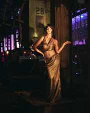 Glamour Jacqueline Fernandez in a Golden Dress Photos 04