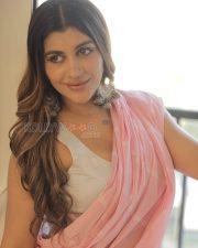 Glowing Actress Yashika Aannand in a Pink Striped Saree Photos 04