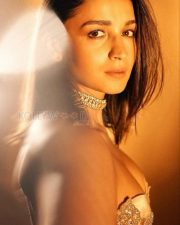 Golden Girl Alia Bhatt in a Corset Dress Pictures 01