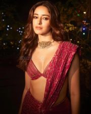 Gorgeous Ananya Panday in a Pink Sculpted Saree with a Strappy Cleavage Blouse Photos 04