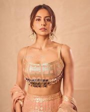 Gorgeous Diva Rakul Preet Singh Diwali Celebration Photoshoot Pictures 04 Gorgeous Diva Rakul Preet Singh Diwali Celebration Photoshoot Pictures 04