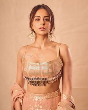 Gorgeous Diva Rakul Preet Singh Diwali Celebration Photoshoot Pictures 04