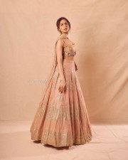 Gorgeous Diva Rakul Preet Singh Diwali Celebration Photoshoot Pictures 05