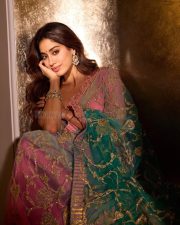 Gorgeous Janhvi Kapoor in an Embroidered Butterfly Netted Baby Pink Saree with a Green Pallu and Infinity Hemline Blouse Photos 03 Gorgeous Janhvi Kapoor in an Embroidered Butterfly Netted Baby Pink Saree with a Green Pallu and Infinity Hemline Blouse Photos 03