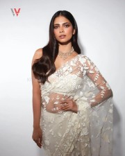 Gorgeous Malavika Mohanan in a See Through Embroidered Net Saree Photos 01