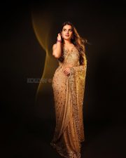 Gorgeous Nidhhi Agerwal in a Golden Sequinned Netted Saree with a Deep Cleavage Sleeveless Blouse Photos 02