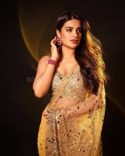 Gorgeous Nidhhi Agerwal in a Golden Sequinned Netted Saree with a Deep Cleavage Sleeveless Blouse Photos 03