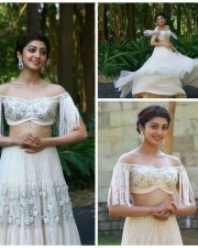Gorgeous Pranitha Subash Photos