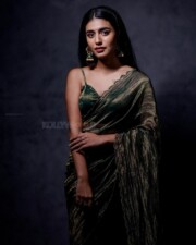 Gorgeous Priya Prakash Varrier in a Vintage Saree Photos 02
