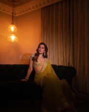 Gorgeous Raashi Khanna in a Mustard Yellow Saree with an Embellished Border and a Golden Embroidered Blouse Pictures 04