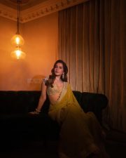 Gorgeous Raashi Khanna in a Mustard Yellow Saree with an Embellished Border and a Golden Embroidered Blouse Pictures 04 Gorgeous Raashi Khanna in a Mustard Yellow Saree with an Embellished Border and a Golden Embroidered Blouse Pictures 04
