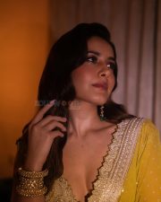 Gorgeous Raashi Khanna in a Mustard Yellow Saree with an Embellished Border and a Golden Embroidered Blouse Pictures 08