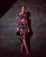 Gorgeous Raashi Khanna in a Purple Floral Cutout Dress Pictures 07