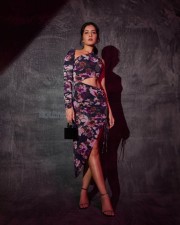 Gorgeous Raashi Khanna in a Purple Floral Cutout Dress Pictures 07