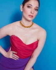 Gorgeous Tamannaah Bhatia in a Red And Purple Slit Dress Photos 01