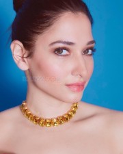 Gorgeous Tamannaah Bhatia in a Red And Purple Slit Dress Photos 03