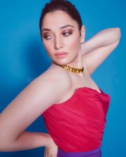 Gorgeous Tamannaah Bhatia in a Red And Purple Slit Dress Photos 04