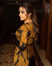 Gorgeous Trisha Krishnan in a Black and Yellow Maxi Dress Photos 02