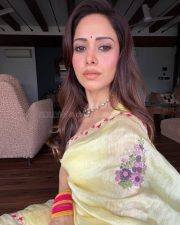 Graceful Actress Nushratt Bharucha in a Yellow Floral Embroidered Saree Photos 03