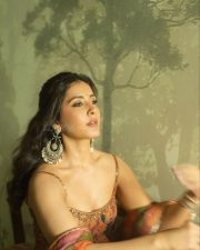 Graceful Raashi Khanna in a Floral Sleeveless Anarkali Dress with a Deep Neck Photos 02 Graceful Raashi Khanna in a Floral Sleeveless Anarkali Dress with a Deep Neck Photos 02