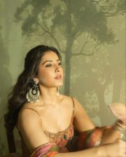 Graceful Raashi Khanna in a Floral Sleeveless Anarkali Dress with a Deep Neck Photos 02