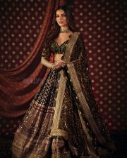 Graceful Tara Sutaria in a Georgette Saree Photos 02