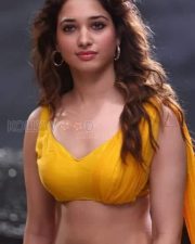 Gurthunda Seethakalam Movie Heroine Tamannaah Bhatia Photos 02