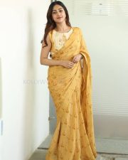 Heroine Anu Emmanuel at The Girlfriend Interview Photos 26